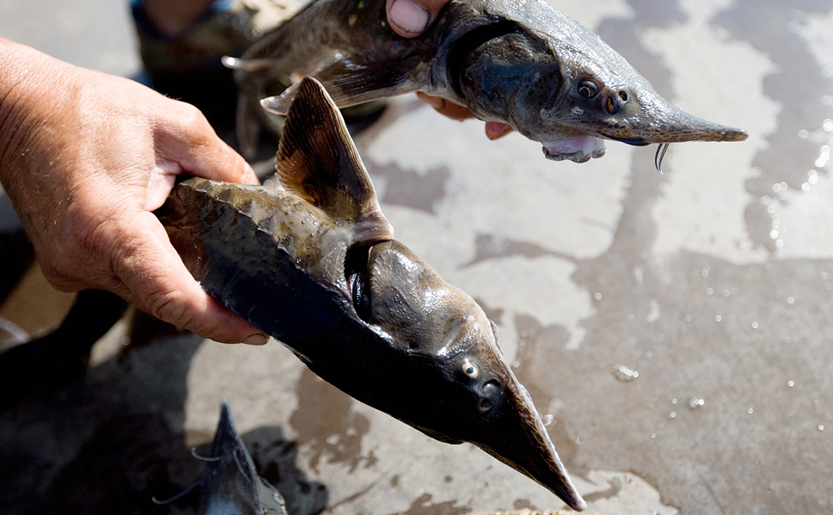 Павел Лисицын / РИА Новости