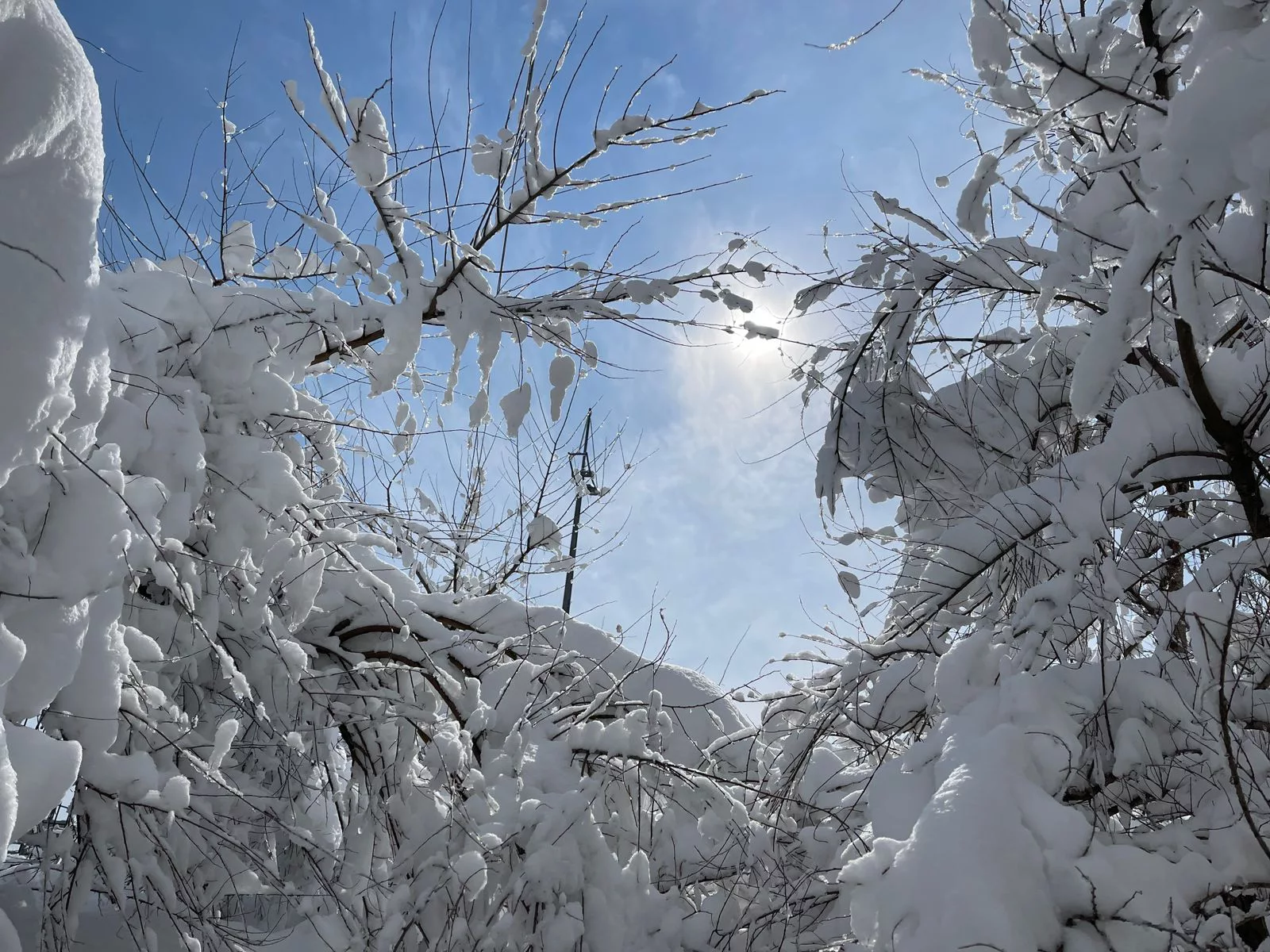 РБК Приморье