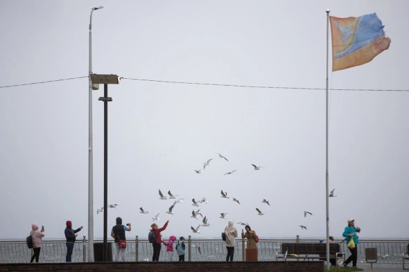 Александр Подгорчук