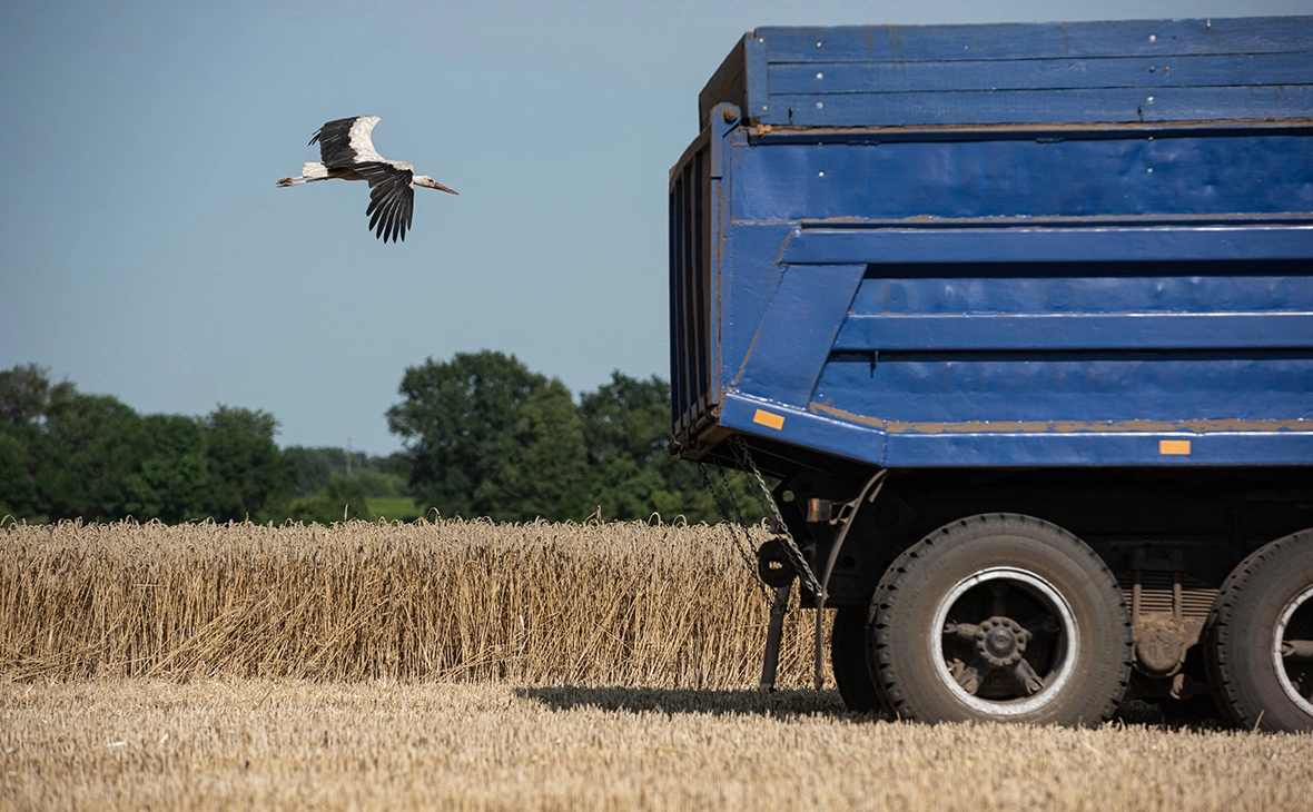 Алексей Фурман / Getty Images