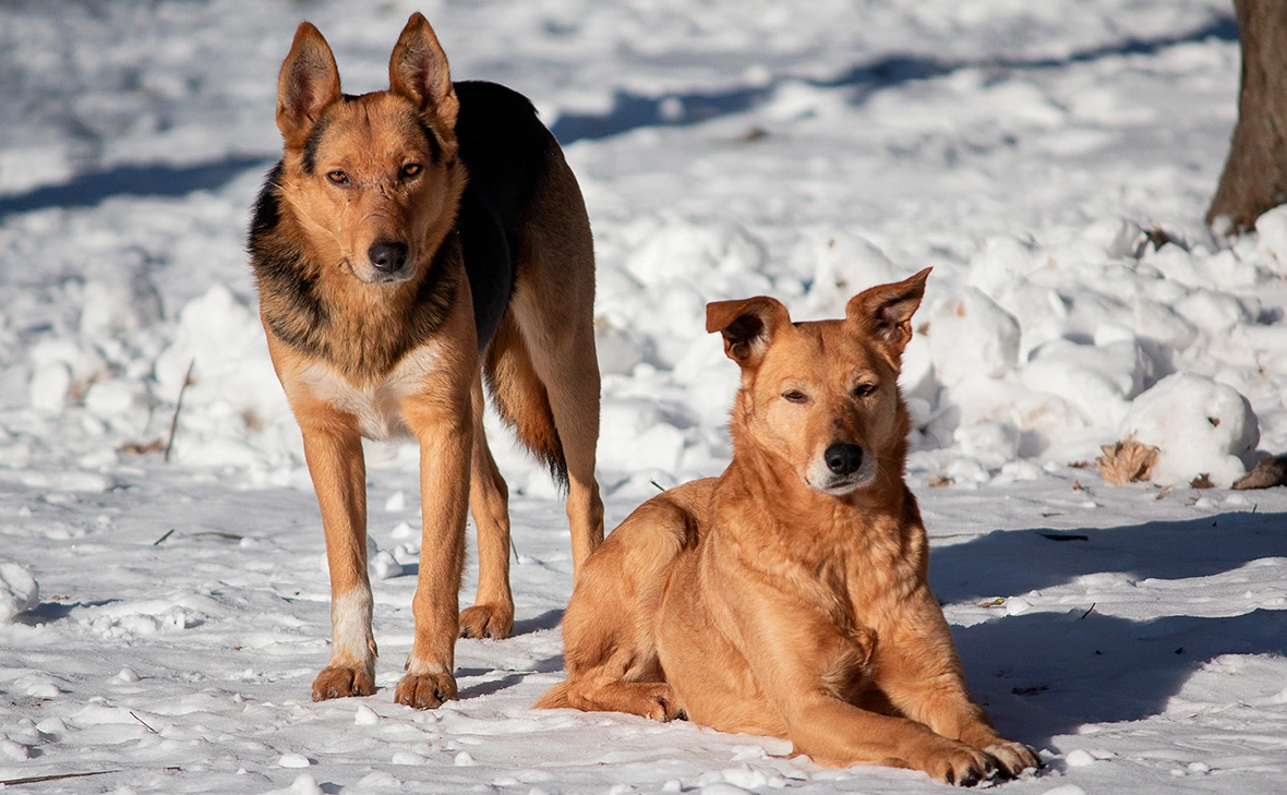 DmyTo / Shutterstock