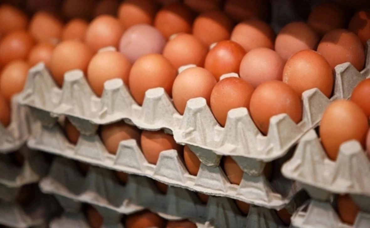 Александр Подгорчук / РБК Калининград