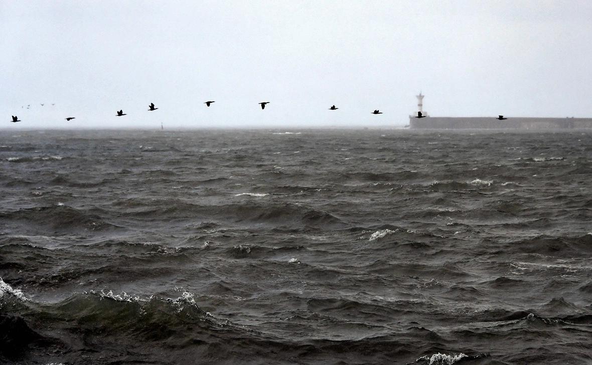 Алексей Мальгавко / РИА Новости