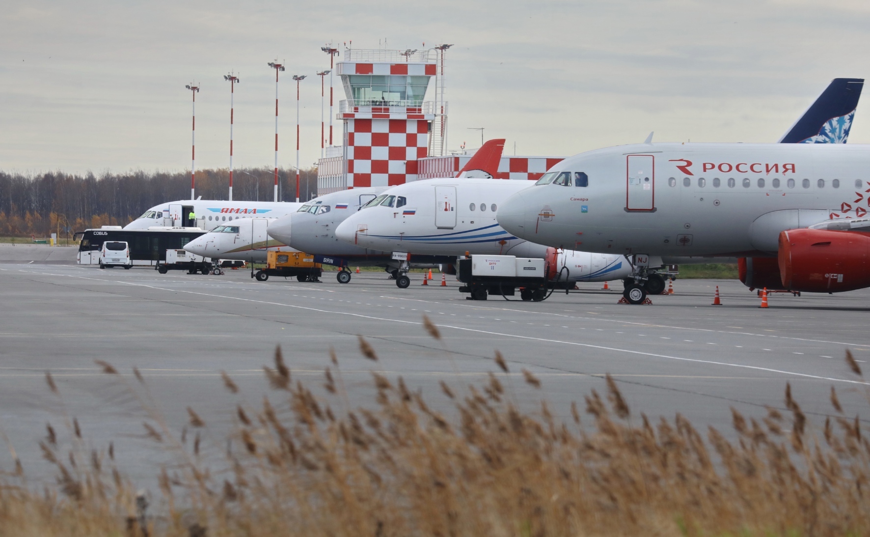 Фото: Холявчук Светлана/PhotoXPress.ru