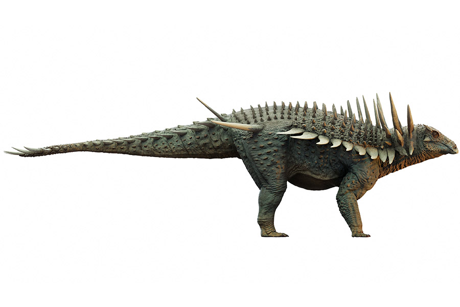 Фото: Matt Dempsey / Reuters