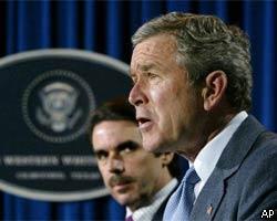 США готовят новую резолюцию по Ираку