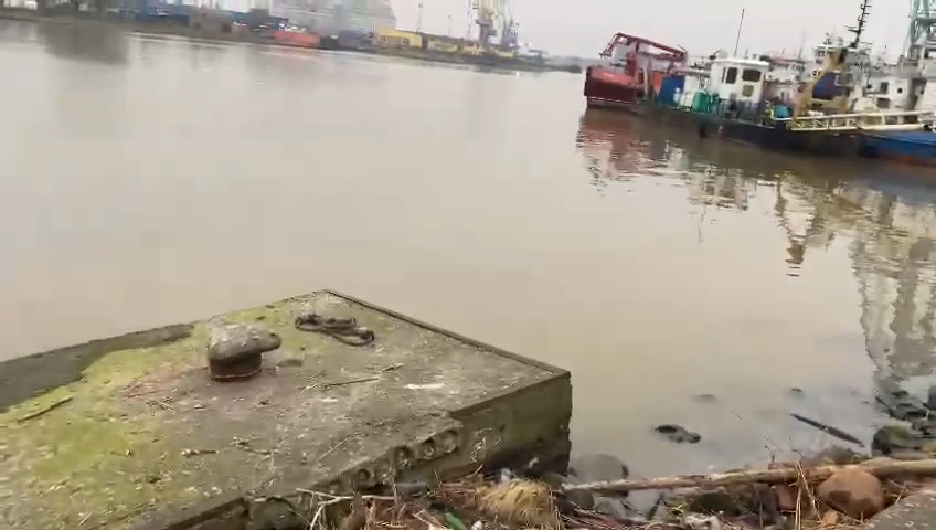 скриншот https://t.me/c/1552551950/15206