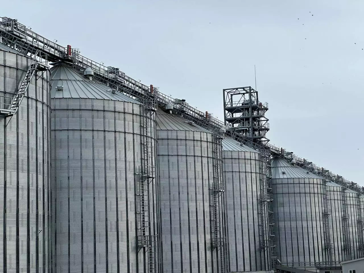 РБК Татарстан