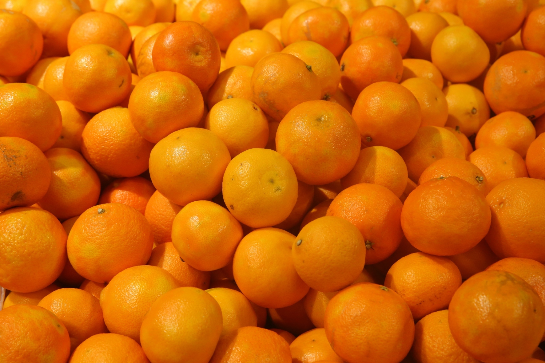 Фото: Холявчук Светлана/PhotoXPress.ru