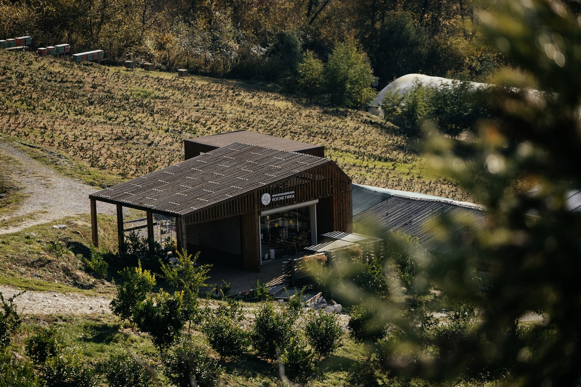 Фото: Александр Саенко