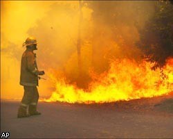 В России с начала года произошло более 80 лесных пожаров