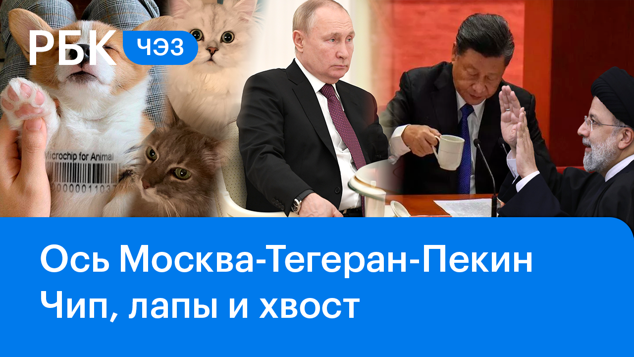 Ч.3 Россия-Китай-Иран - союз против Запада / Маркировка кошек и собак