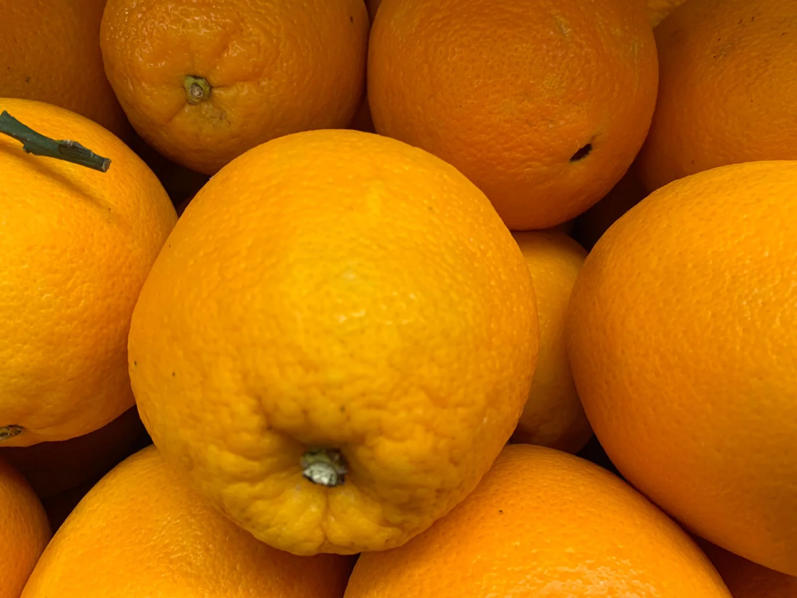 РБК Приморье