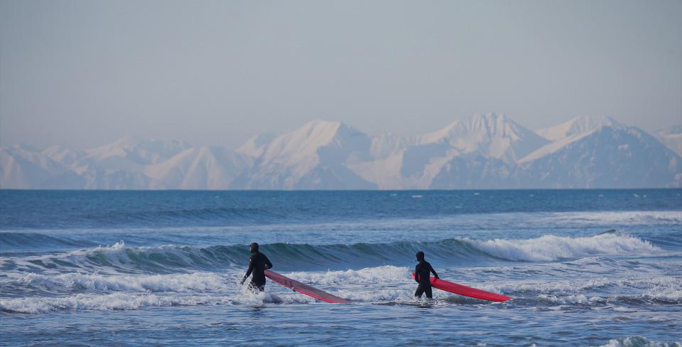 Фото: gavrilovany / Shutterstock / Fotodom