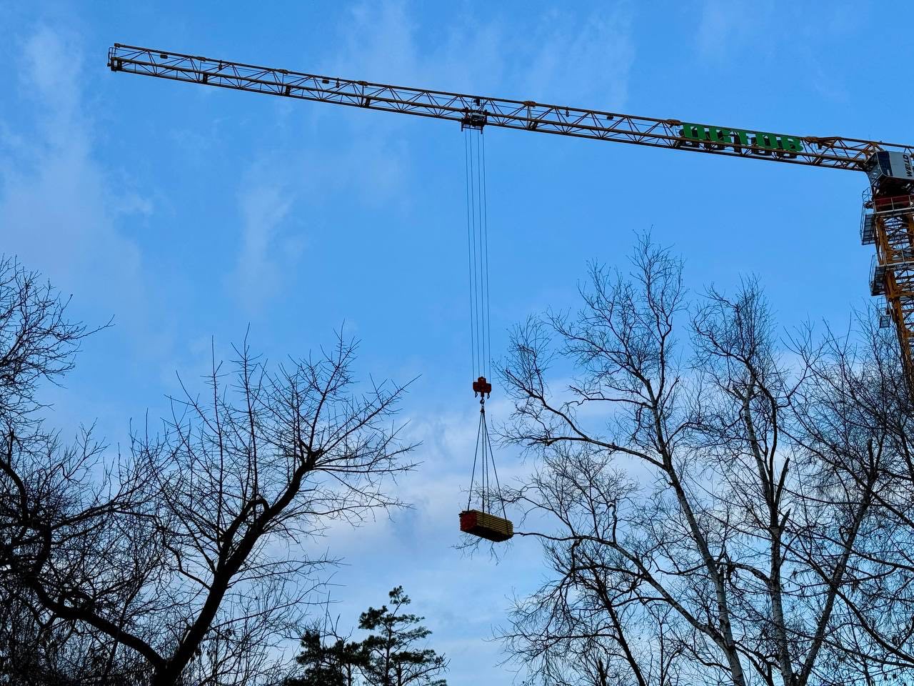 Фото: РБК Приморье