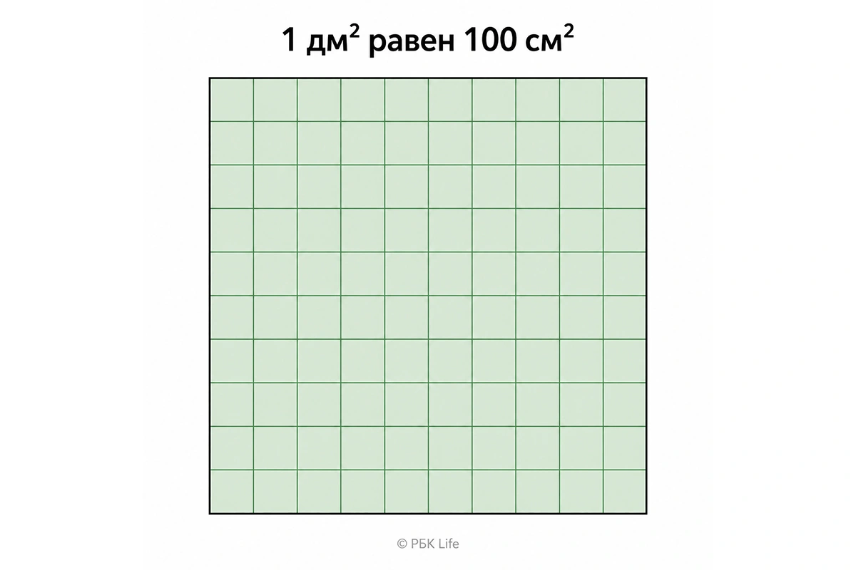 Будущим владельцам необходимо объективно оценить свои условия проживания