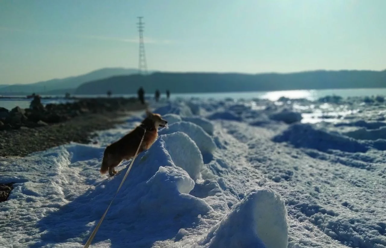 РБК Приморье