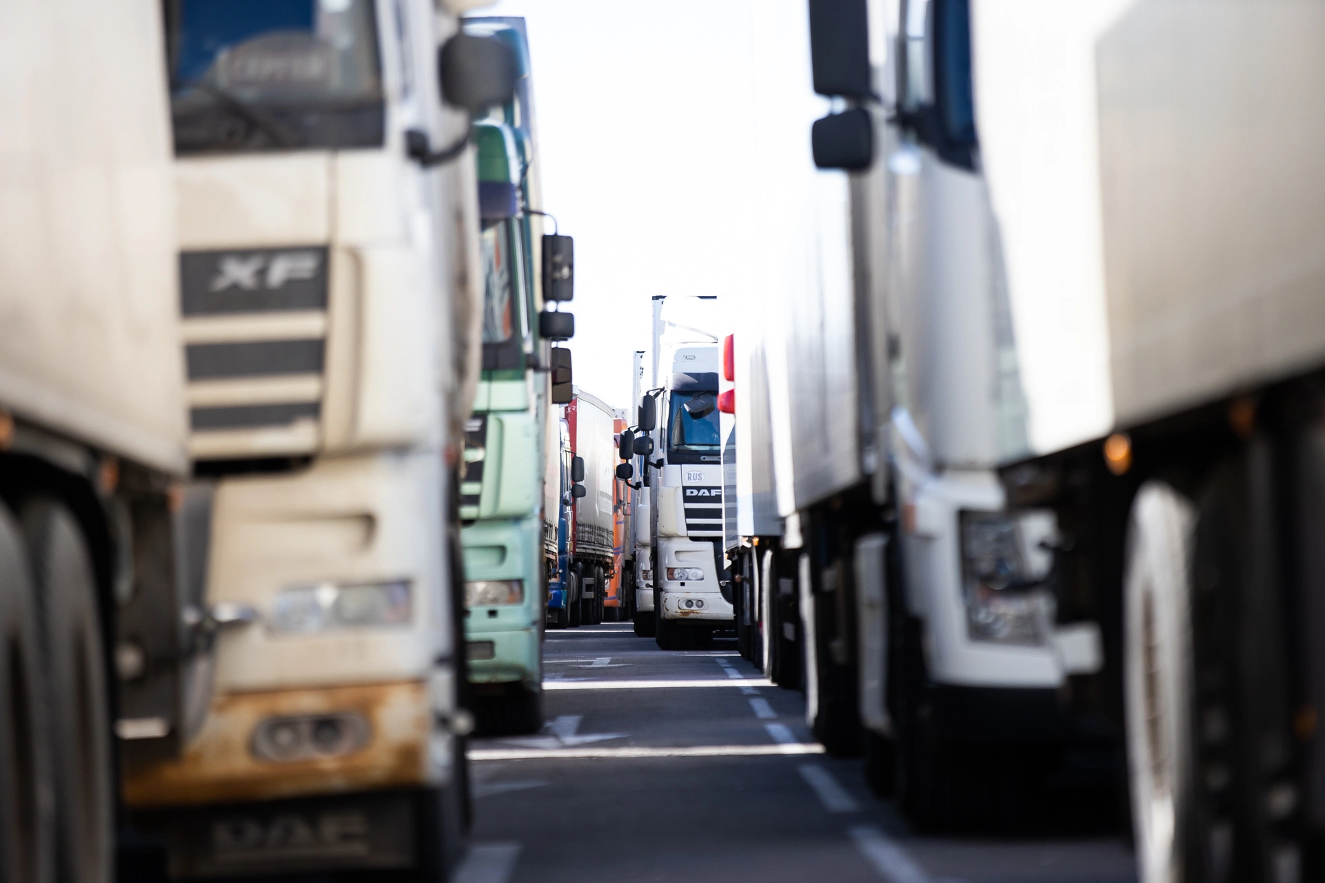 Александр Подгорчук