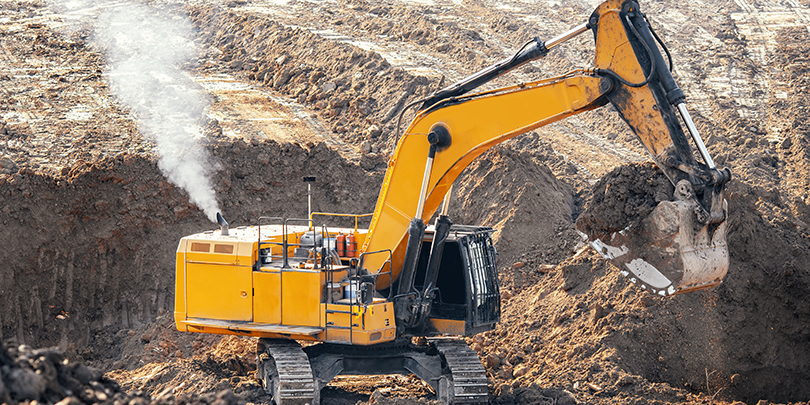 Фото: Shutterstock 