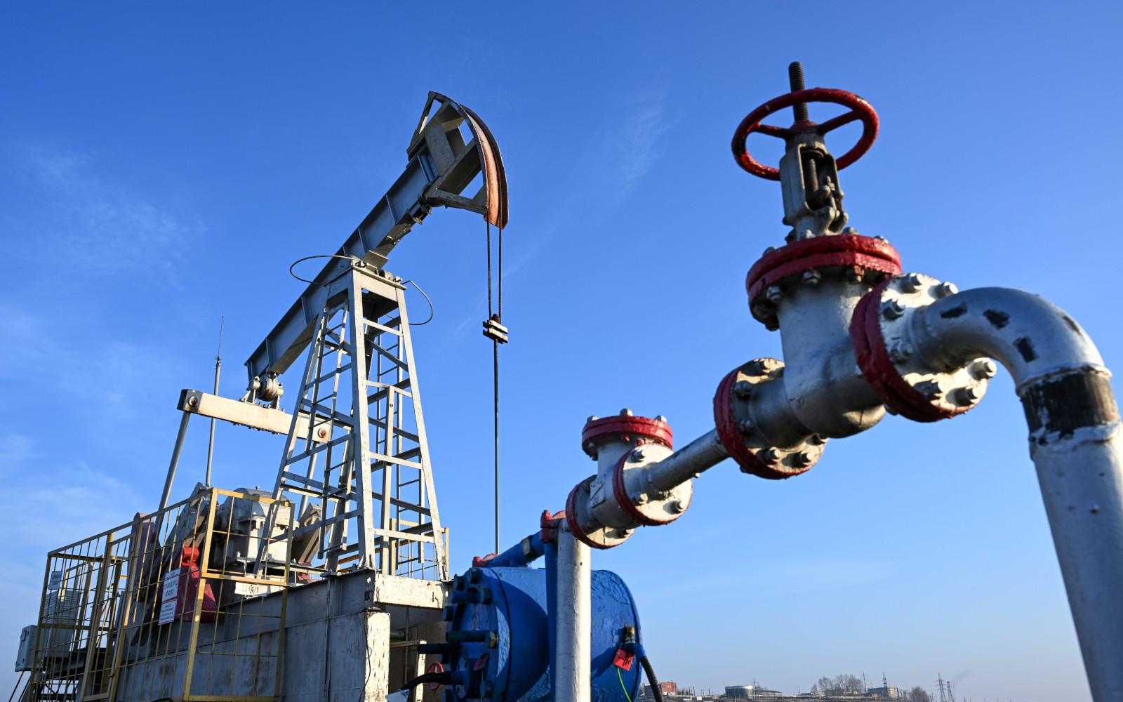 Фото:Максим Богодвид / РИА Новости