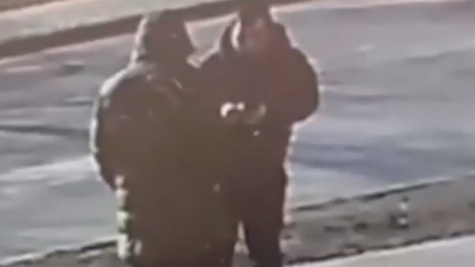 В Москве раскрыли изготовителей поддельных документов для мигрантов