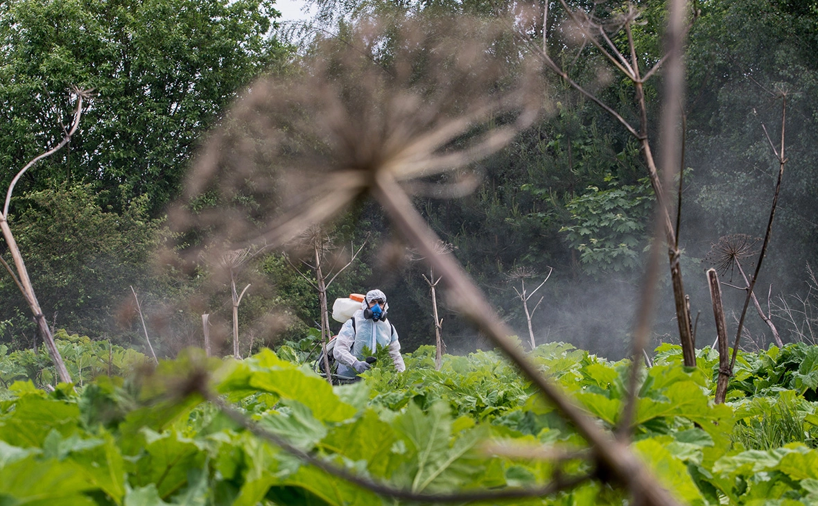 Сергей Бобылев / ТАСС