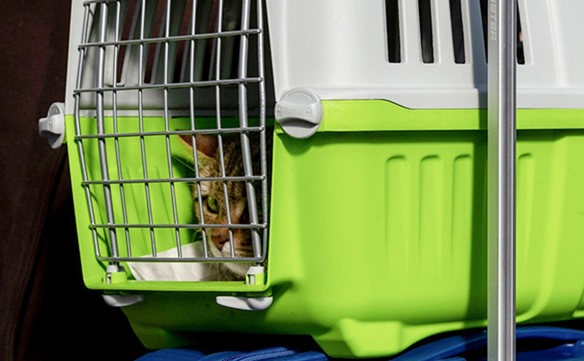 Janos Kummer / Getty Images