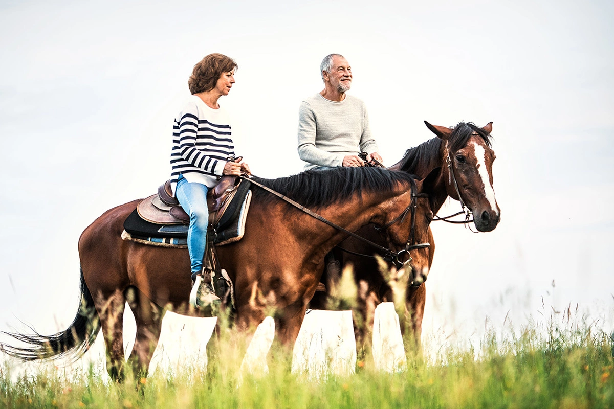 Конная прогулка