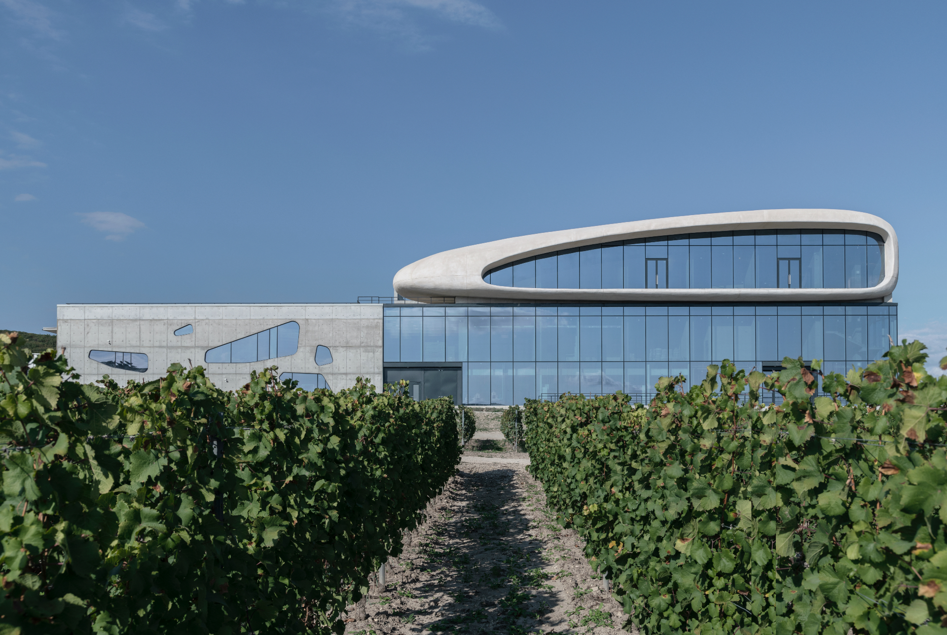 Фасад и виноградники гравитационной винодельни.