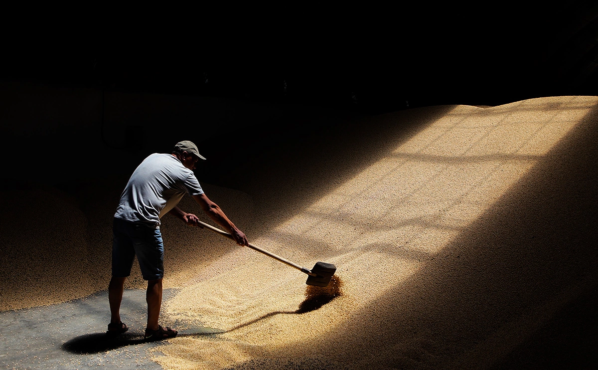 Денис Абрамов / РИА Новости