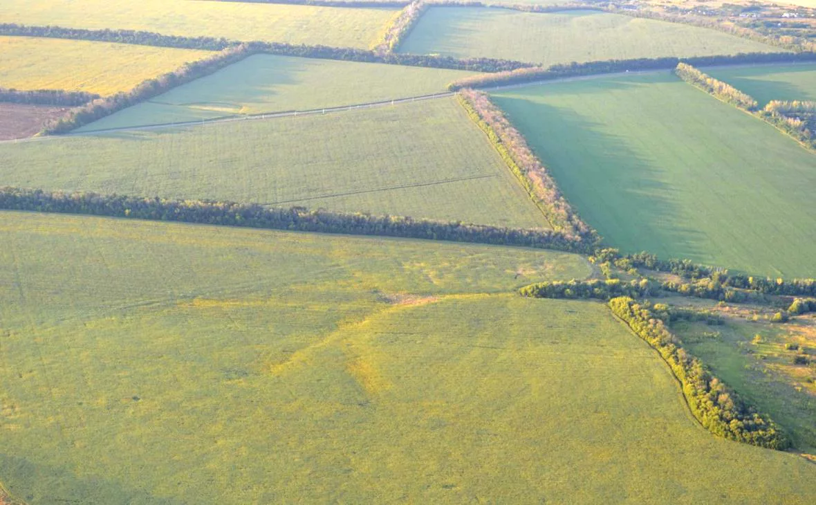 РБК Черноземье 