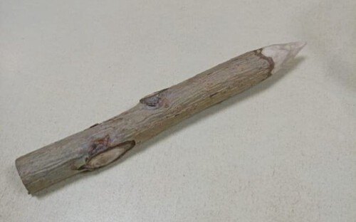 Фото: Главное управление Федеральной службы судебных приставов по Омской области