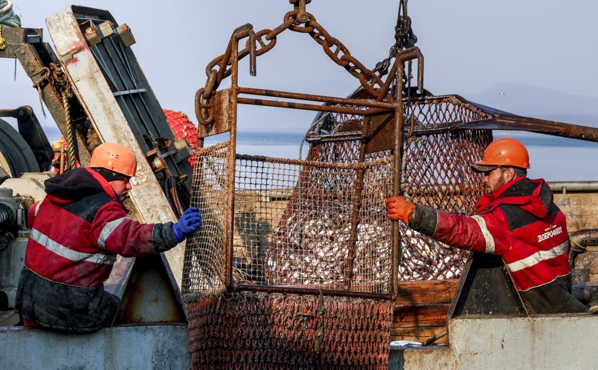 Фото: Юрий Смитюк / ТАСС