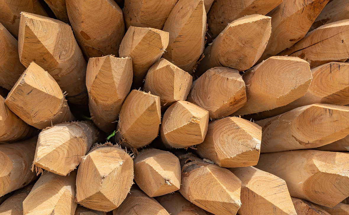 Mny-Jhee / Shutterstock