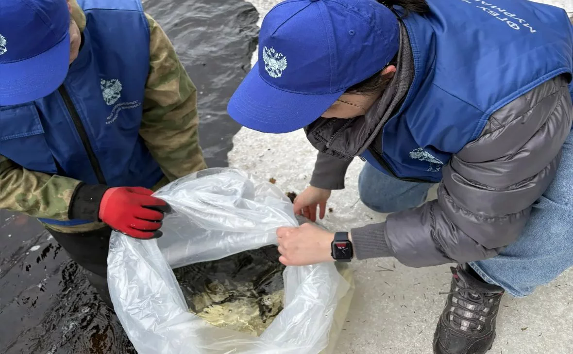 murmansk.fish.gov.ru