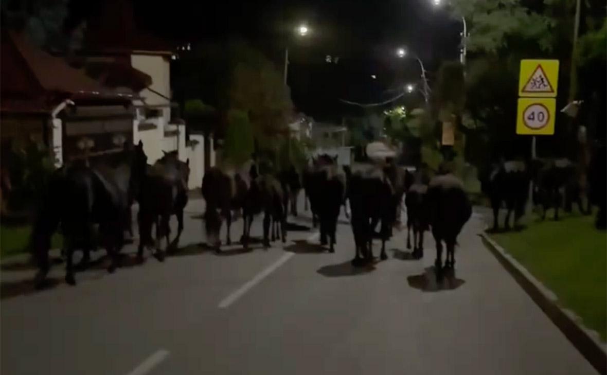 Фото: moiseev_eugene / Telegram