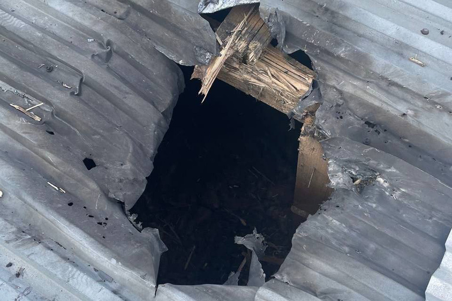 Фото: vvgladkov / Telegram