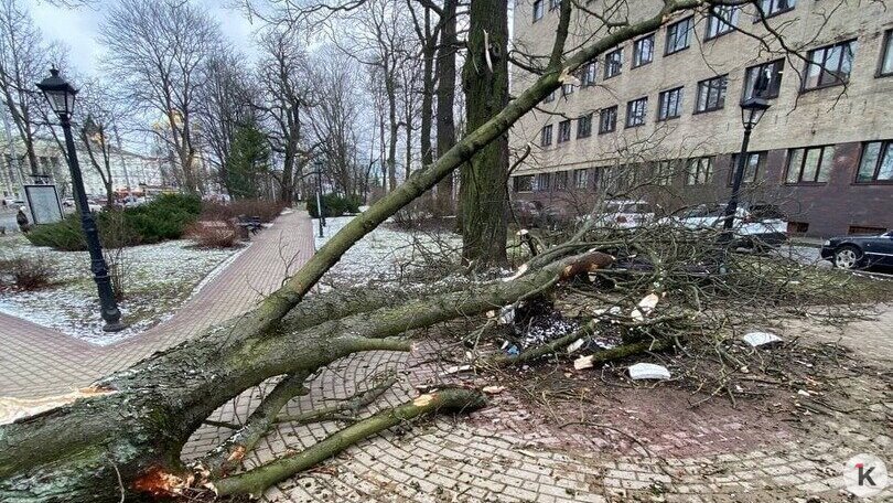 Фото: Александр Подгорчук