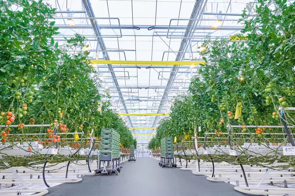 «ТюменьАгро»