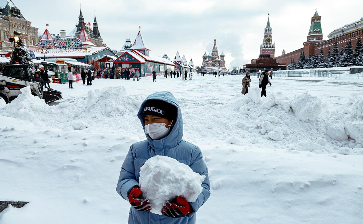 Цветы под снегом: какие последствия оставил в Москве циклон «Ольга»