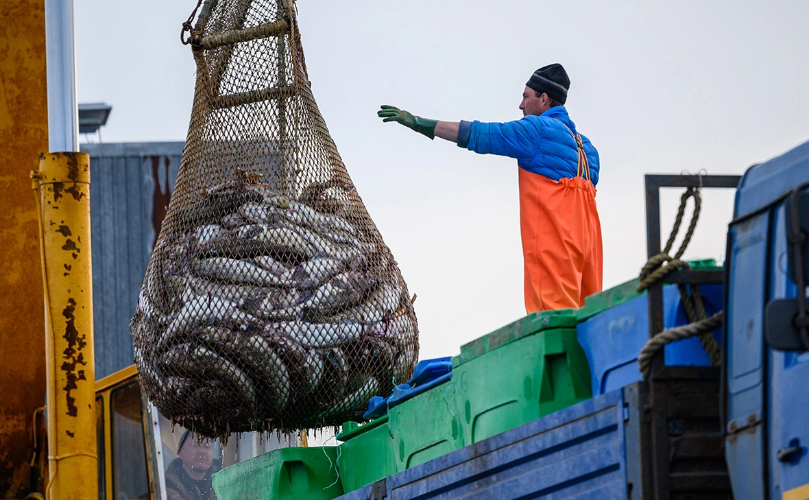 Сергей Красноухов / РИА Новости