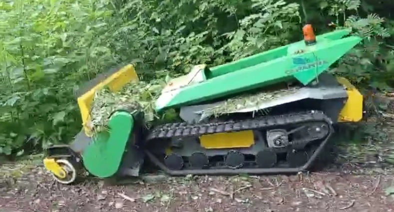 Скриншот видео / телеграм-канал мэрии Новосибирска