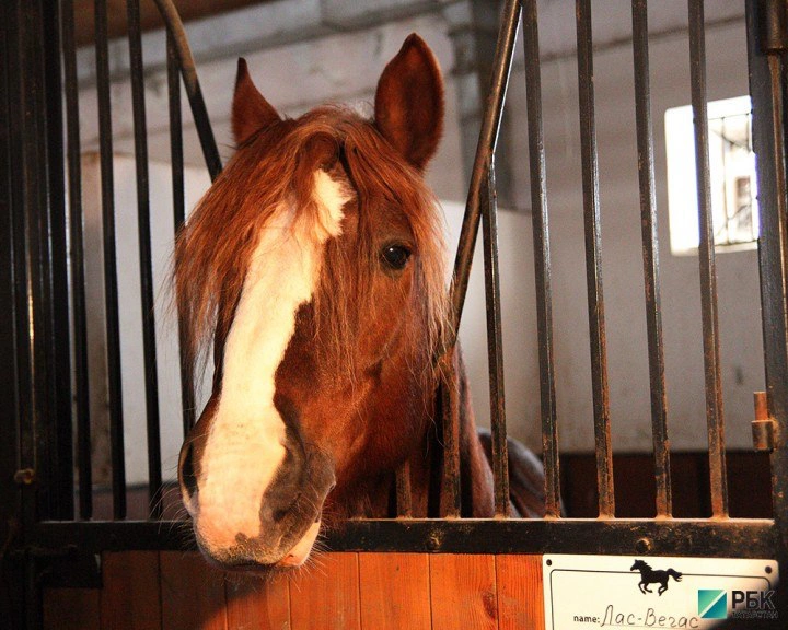 РБК Татарстан