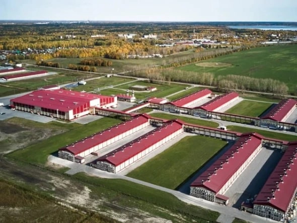 Фото: Информационный центр правительства Тюменской области