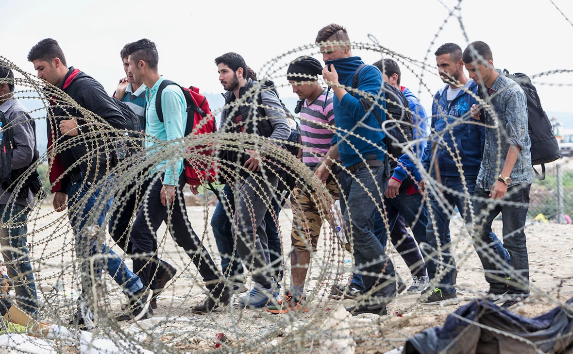 Ververidis Vasilis / Shutterstock