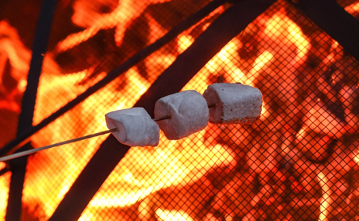 Егор Алеев / ТАСС