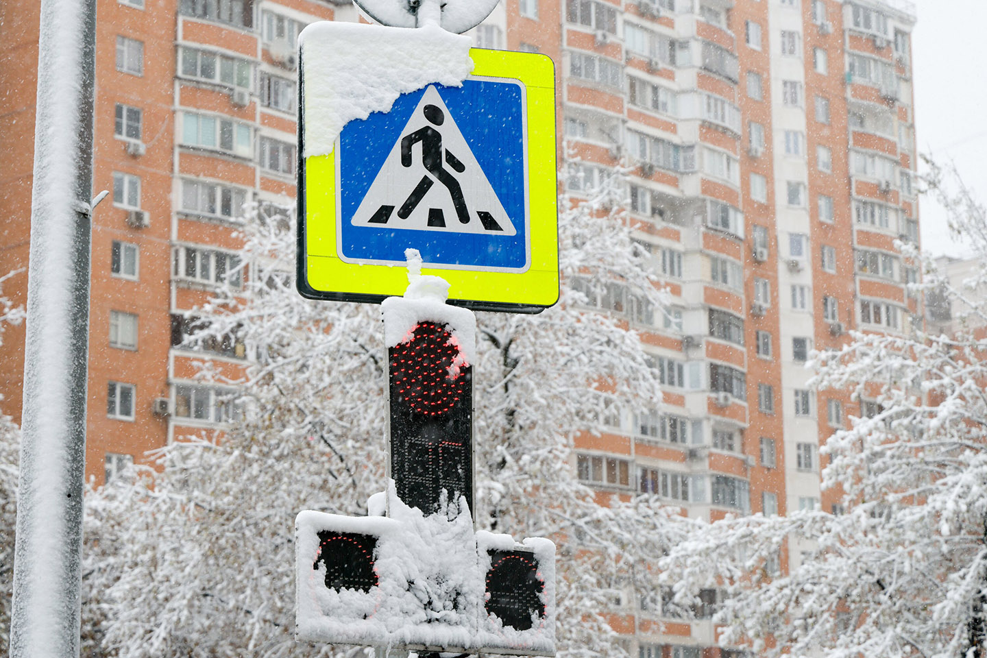 Фото: Светлана Нафикова / Агентство «Москва»