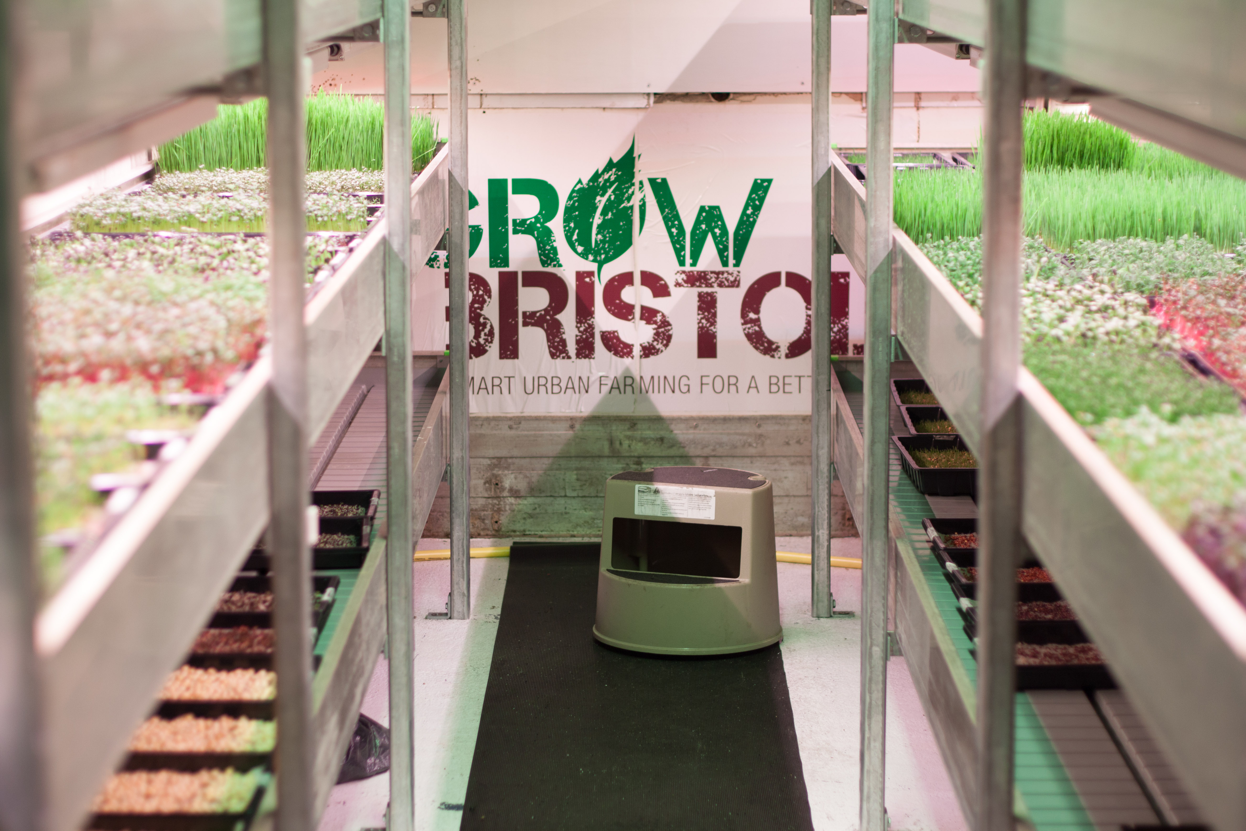 Английские активисты из Grow Bristol переоборудовали бывшее помещение железно-дорожной станции в сити-ферму. Местную зелень покупают два десятка ресторанов.

&nbsp;