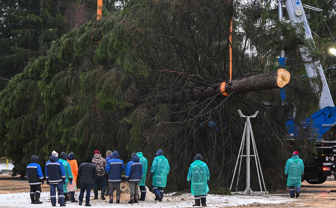 Рамиль Ситдиков / РИА Новости