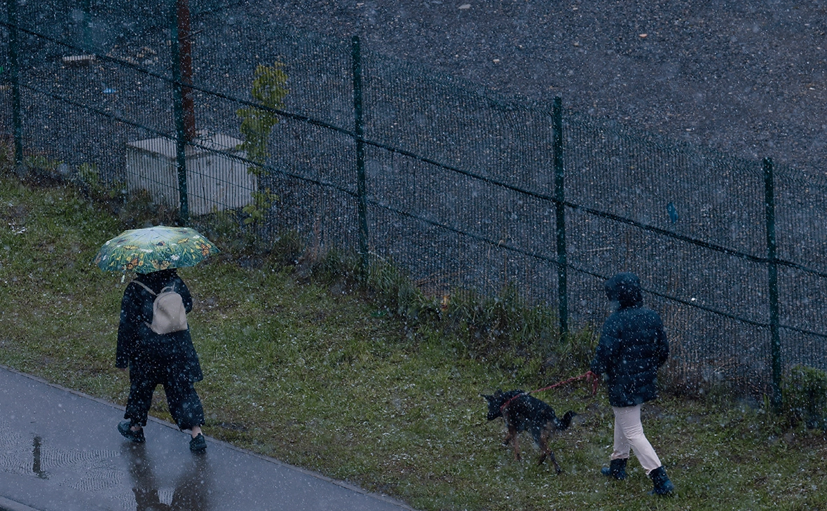 Андрей Любимов / РБК